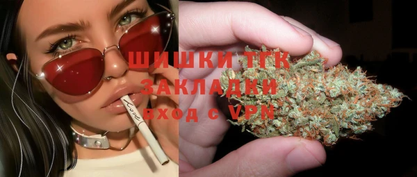 индика Армянск