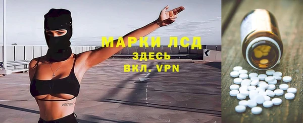 индика Армянск