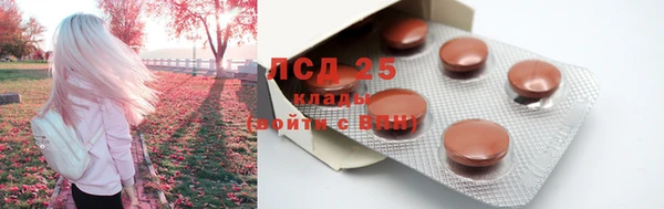 индика Армянск
