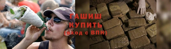 индика Армянск