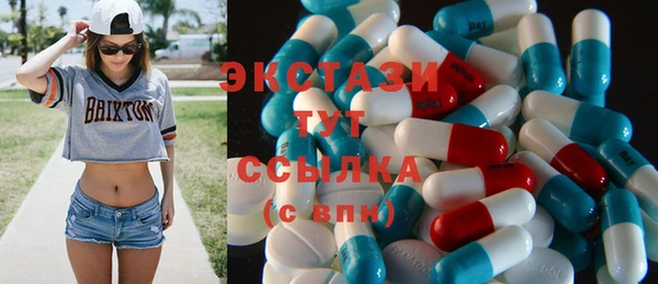 индика Армянск