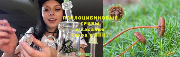 индика Армянск