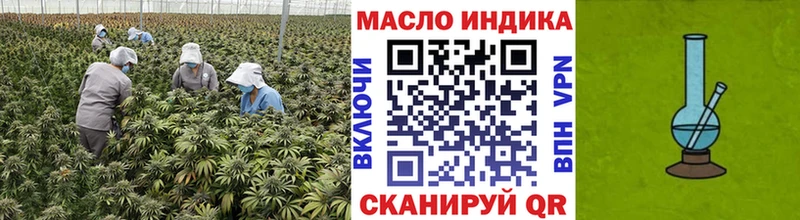 Купить закладки  Великие Луки  Дистиллят ТГК гашишное масло 